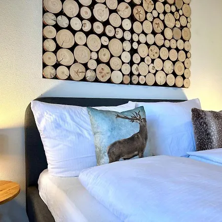 Mini Mit Pool Nutzung&balkon Apartment Höchenschwand