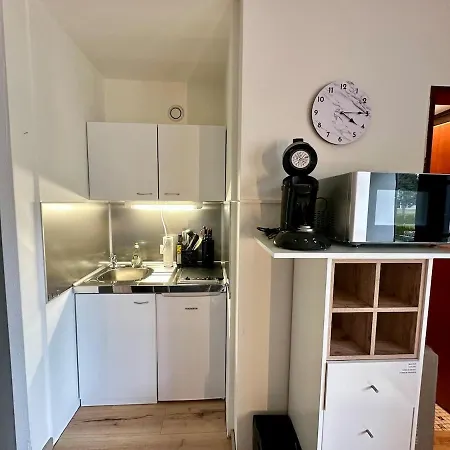 Mini Mit Pool Nutzung & Balkon Apartment Hoechenschwand