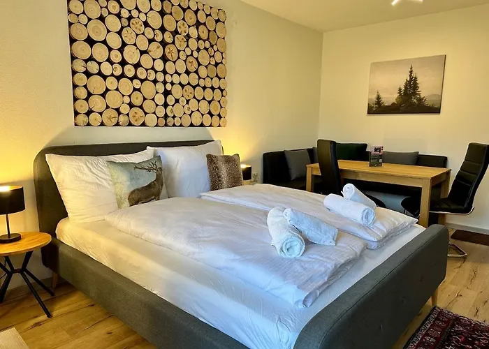 Apartament Mini Mit Pool Nutzung & Balkon Höchenschwand