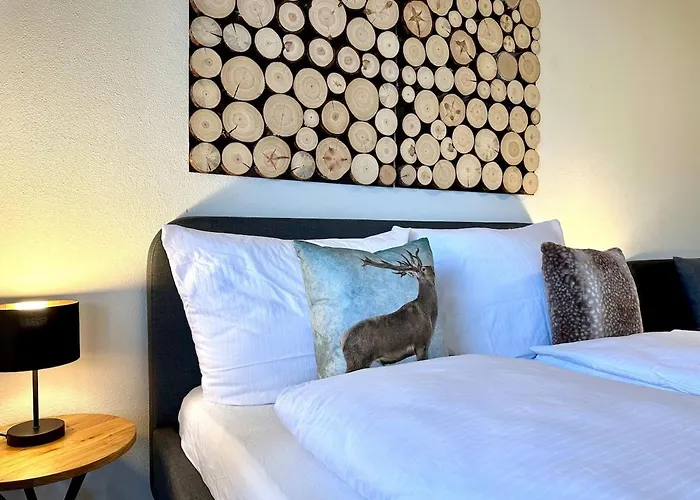 Mini Mit Pool Nutzung & Balkon Apartament Höchenschwand