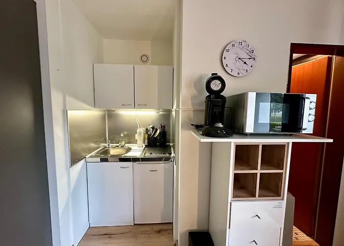 Mini Mit Pool Nutzung & Balkon Apartamento Höchenschwand